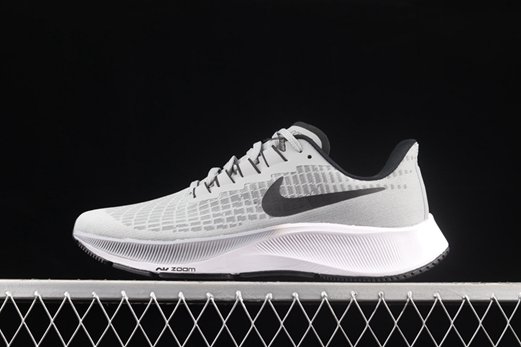 nouvelle air zoom pegasus 38 flyease