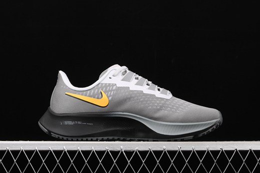 nouvelle air zoom pegasus 38 shield avis