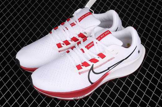 nouvelle air zoom pegasus flyease avis