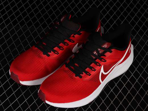 nouvelle are nike air zoom pegasus 39 good for running