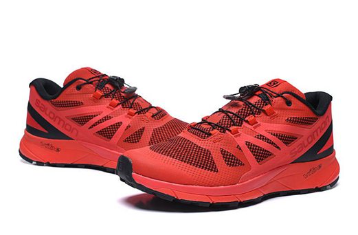 nouvelle chaussure salomon quest 4d forces 2 coyote,salomon s lab x alp