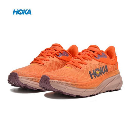 nouvelle hoka one one gore-tex homme