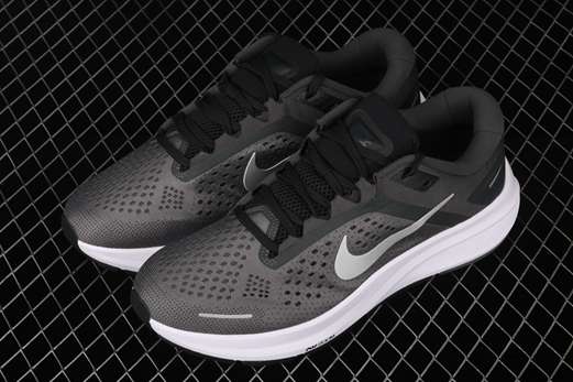 nouvelle mens nike air zoom pegasus