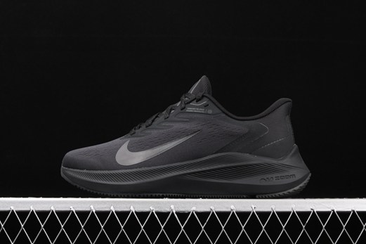 nouvelle nike zoom winflo vs pegasus