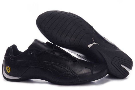 nouvelle soulier puma tout terrain